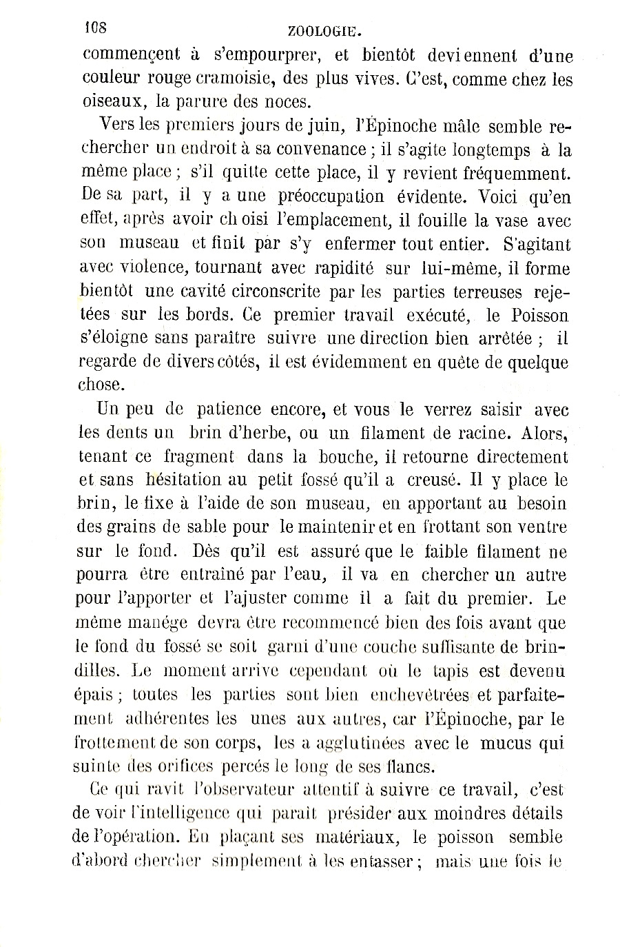 extrait de Zoologie de Fabre publié en 1872, page 108
