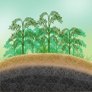 Paysage prehistorique, Illustration de Paula Lewis